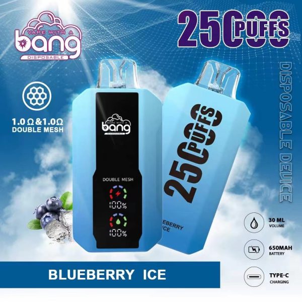 Bang 25000 Disposable Vape: 25000 Puffs, 25ml E-Liquid, 650mAh Battery, 12 Flavors - Image 4