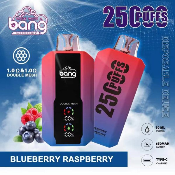 Bang 25000 Disposable Vape: 25000 Puffs, 25ml E-Liquid, 650mAh Battery, 12 Flavors - Image 6