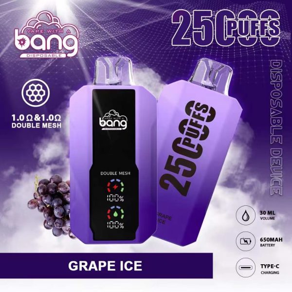 Bang 25000 Disposable Vape: 25000 Puffs, 25ml E-Liquid, 650mAh Battery, 12 Flavors - Image 5