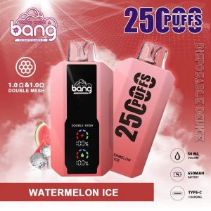 Bang 25000 Disposable Vape: 25000 Puffs, 25ml E-Liquid, 650mAh Battery, 12 Flavors