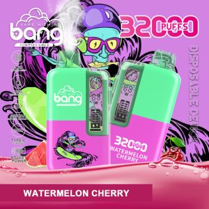 Bang 32000 Electronic Cigarette - 32000 Puffs with 12 Flavors | High Capacity 650mAh Battery