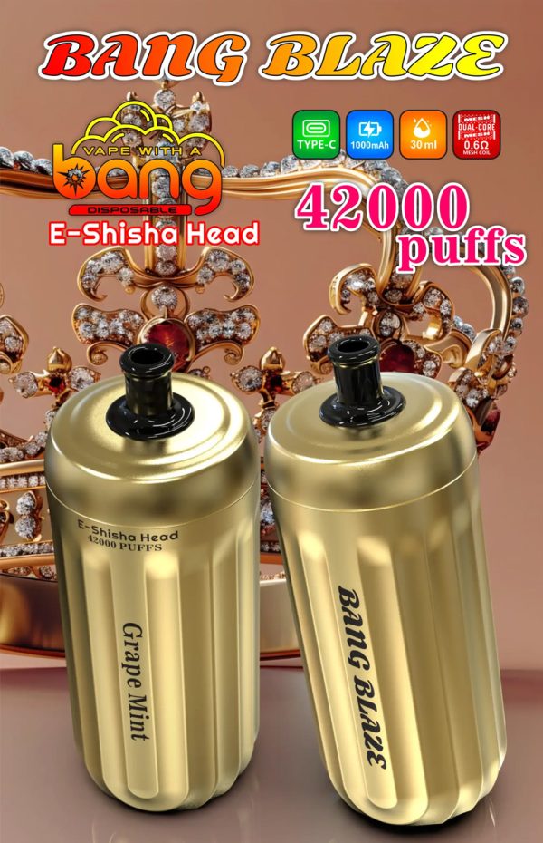 Bang Blaze 42000 Disposable Vape - Up to 42,000 Puffs, 12 Flavors, 1000mAh Battery, Type-C Rechargeable - Image 5