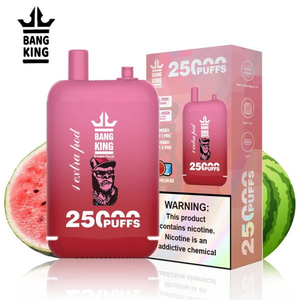 Bang King 25000 Puffs Dual Pods Disposable Vape - 12 Flavors & 4 Nicotine Levels - Image 4