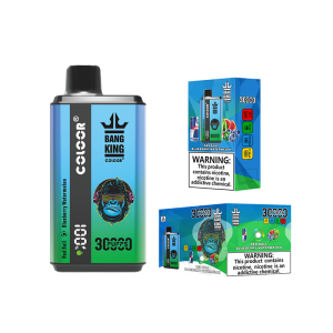 Bang King 30000 Double Flavor Disposable Vape Pen | 30000 Puffs | 12 Flavors | 0%/2%/3%/5% Nicotine