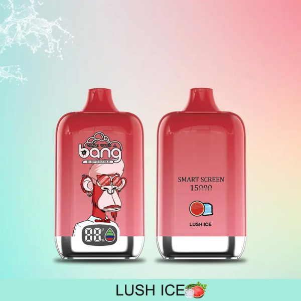 Bang Smart Screen 15000 Disposable Vape - 12 Flavors, 15000 Puffs, 650mAh Battery - Image 4