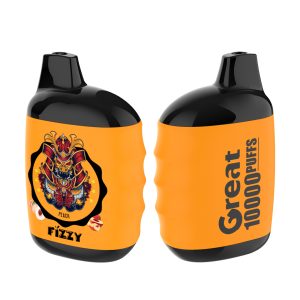 Fizzy Great 10000 Puffs Vape - 10,000 Puffs, Rechargeable, 10 Flavors, 2% & 5% Nicotine