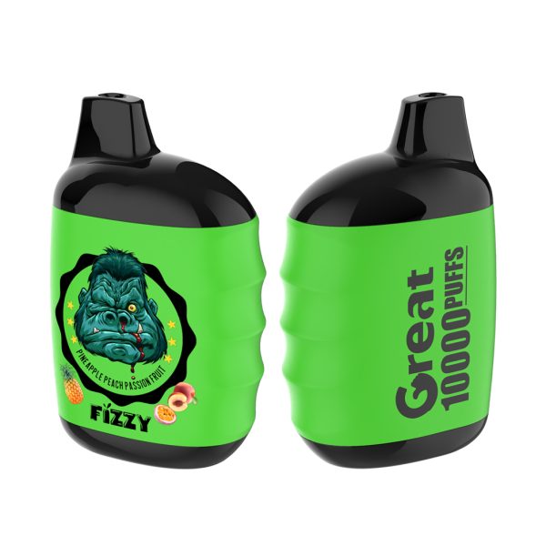Fizzy Great 10000 Puffs Vape - 10,000 Puffs, Rechargeable, 10 Flavors, 2% & 5% Nicotine - Image 2
