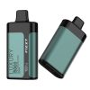 Fizzy Luxury 15000 Puffs Rechargeable Disposable Vape Pen - Premium Vaping Experience with 15 Flavors - Image 4
