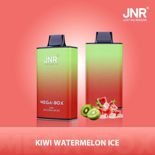 Jnr Mega Box 25000 - 25000 Puffs, 850mAh Battery, 30ml E-liquid, Diverse Flavors - Image 5