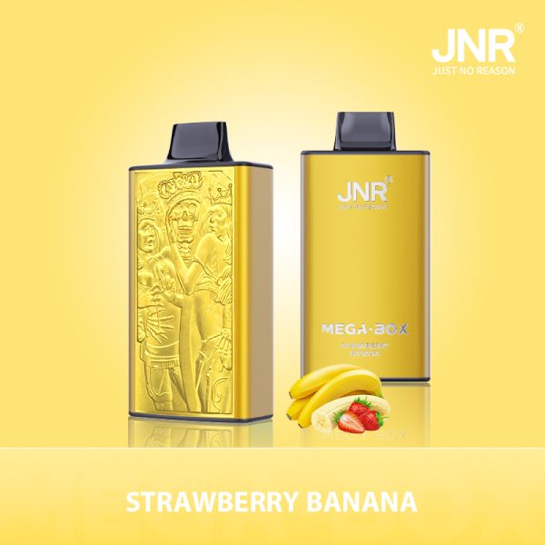 Jnr Mega Box 25000 - 25000 Puffs, 850mAh Battery, 30ml E-liquid, Diverse Flavors - Image 2
