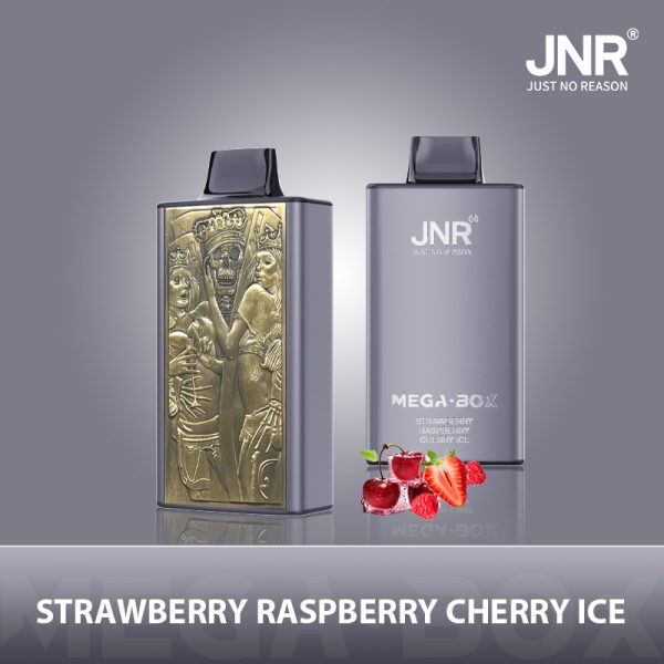 Jnr Mega Box 25000 - 25000 Puffs, 850mAh Battery, 30ml E-liquid, Diverse Flavors - Image 4