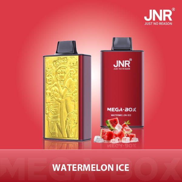 Jnr Mega Box 25000 - 25000 Puffs, 850mAh Battery, 30ml E-liquid, Diverse Flavors - Image 3