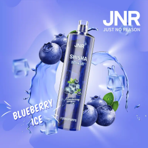 Jnr Shisha 12000 - 12000 Puffs, 24ml E-Liquid, 0% & 2% Nicotine, 30 Flavors, Rechargeable Battery