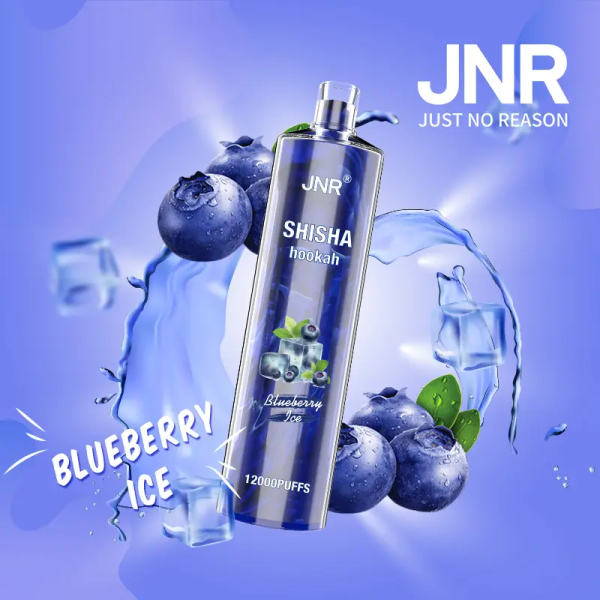 Jnr Shisha 12000 - 12000 Puffs, 24ml E-Liquid, 0% & 2% Nicotine, 30 Flavors, Rechargeable Battery
