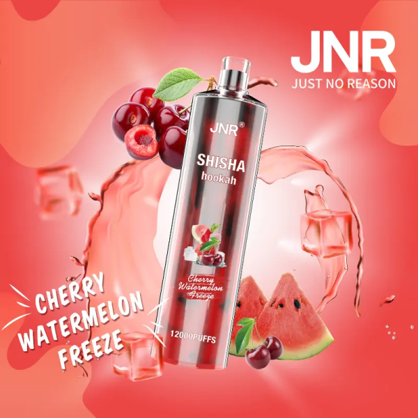 Jnr Shisha 12000 - 12000 Puffs, 24ml E-Liquid, 0% & 2% Nicotine, 30 Flavors, Rechargeable Battery - Image 3