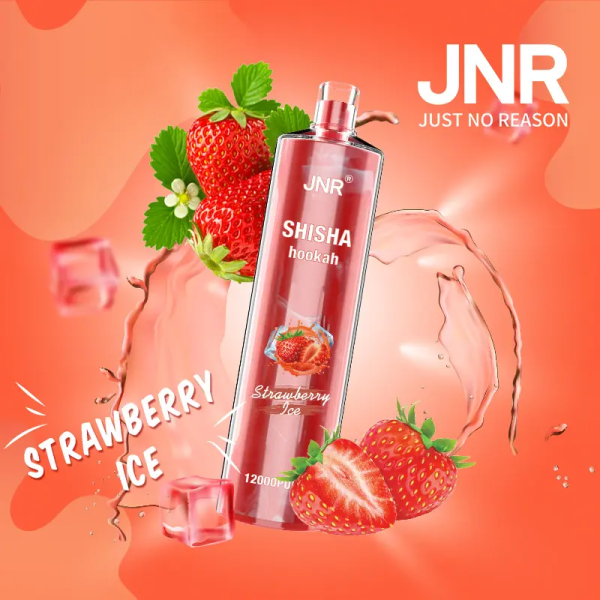 Jnr Shisha 12000 - 12000 Puffs, 24ml E-Liquid, 0% & 2% Nicotine, 30 Flavors, Rechargeable Battery - Image 2
