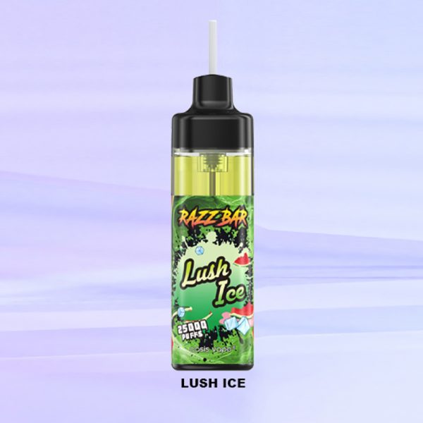 Razz Bar 25000 Puff 25K Vape - 25,000 Puffs, Rechargeable, 16 Flavors - Image 2