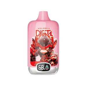 Vapme Digital 12000 Disposable E-Cigarette - 12000+ Puffs, 20ml Prefilled, 850mAh Battery